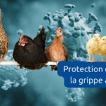 protection contre la grippe aviaire