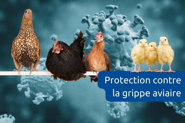 protection contre la grippe aviaire