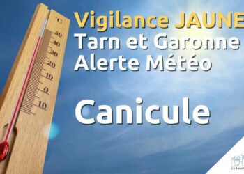 Alerte Jaune Canicule