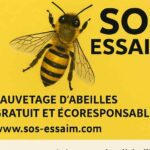 SOS essaim d'abeilles