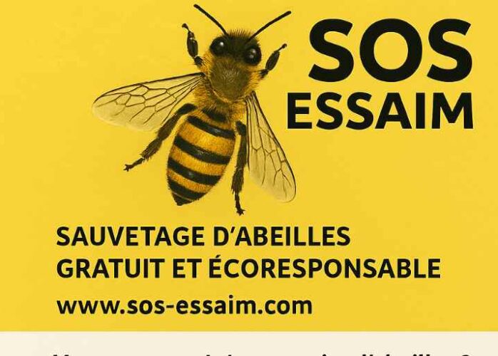 SOS essaim d'abeilles