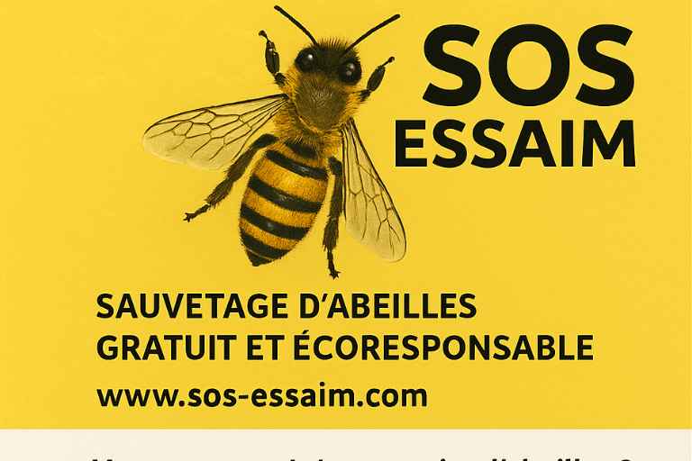 SOS essaim d'abeilles