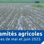 Calamités agricoles – Orages de mai et juin 2025