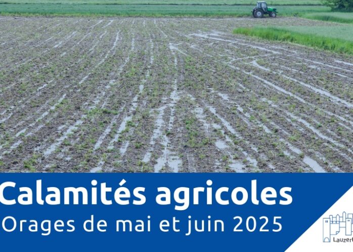 Calamités agricoles – Orages de mai et juin 2025