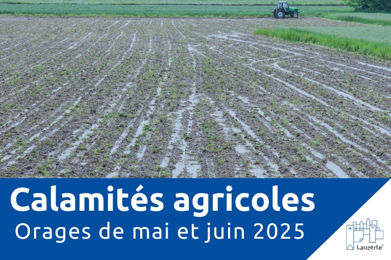 Calamités agricoles – Orages de mai et juin 2025