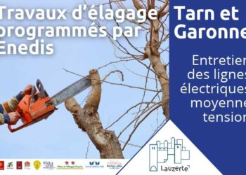 Travaux d'élagages programmés par Enédis