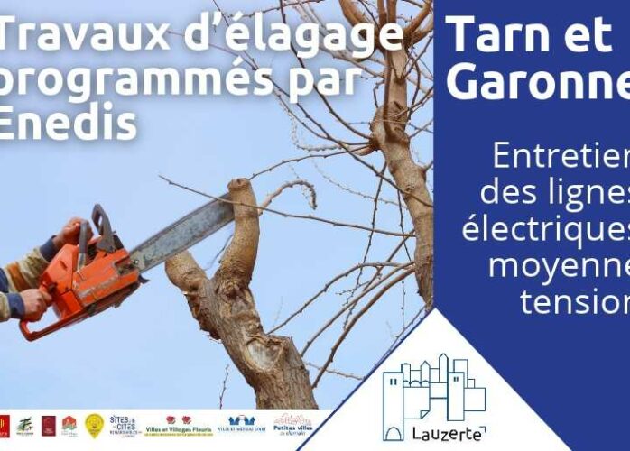 Travaux d'élagages programmés par Enédis