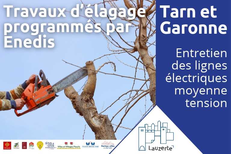 Travaux d'élagages programmés par Enédis
